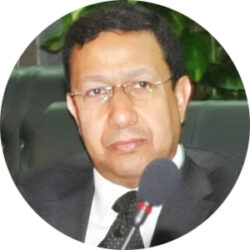 Mahmoud Hafez. ECCIPP